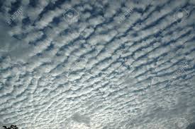 A Mackerel Sky